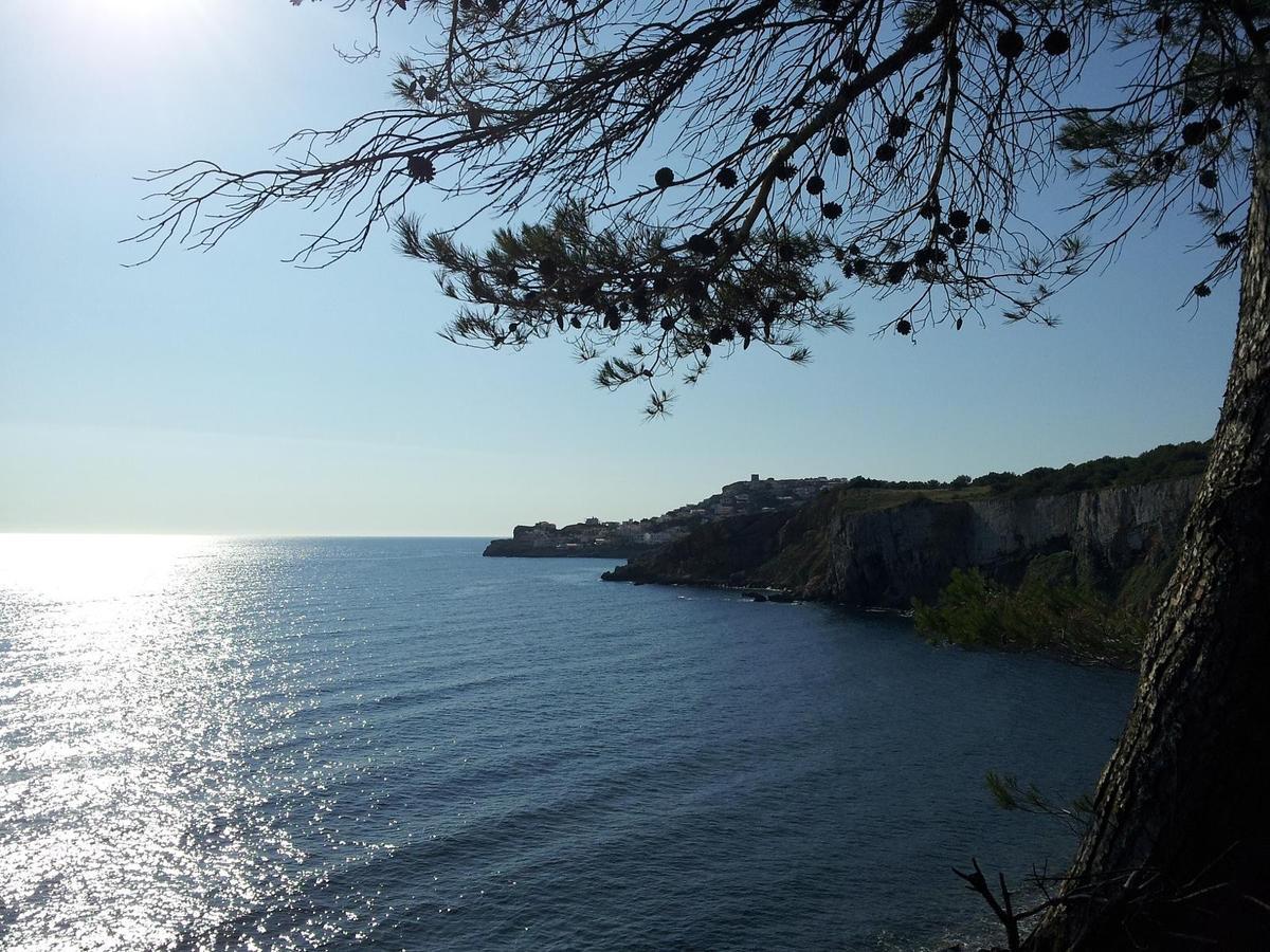 Ferienwohnung Riells De Mar A6 L' Escala Exterior foto